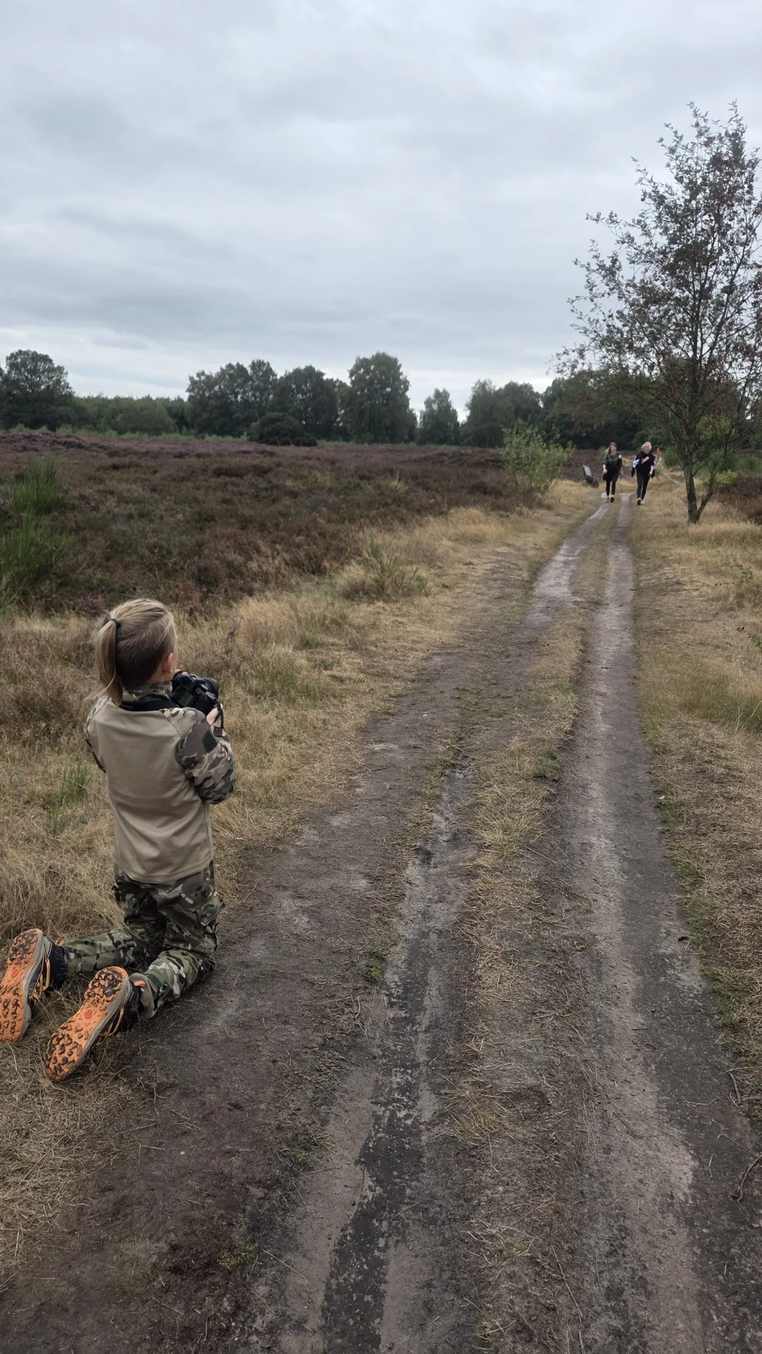Foto der Galerie: Heide Hunte Walk 2026