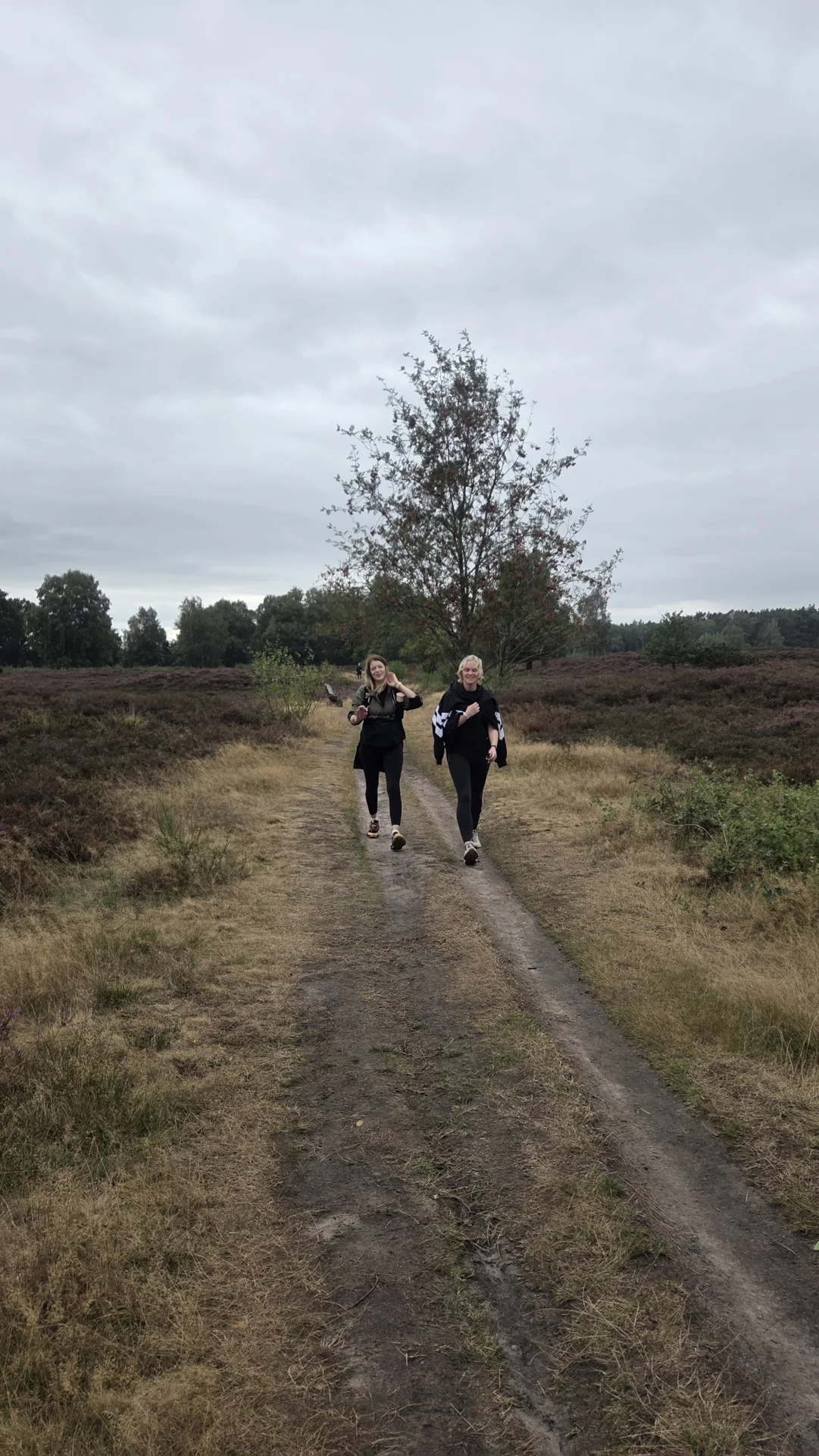 Foto der Galerie: Heide Hunte Walk 2026