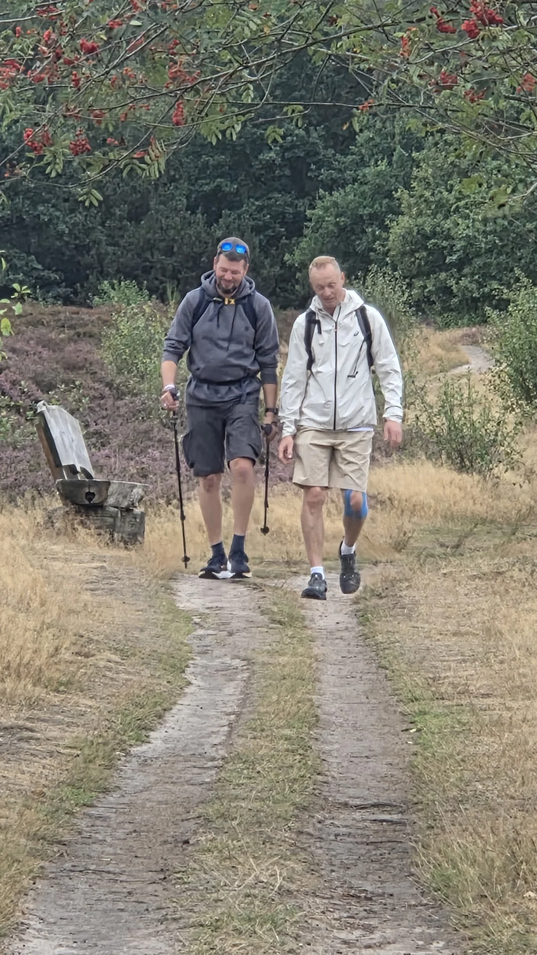 Foto der Galerie: Heide Hunte Walk 2026