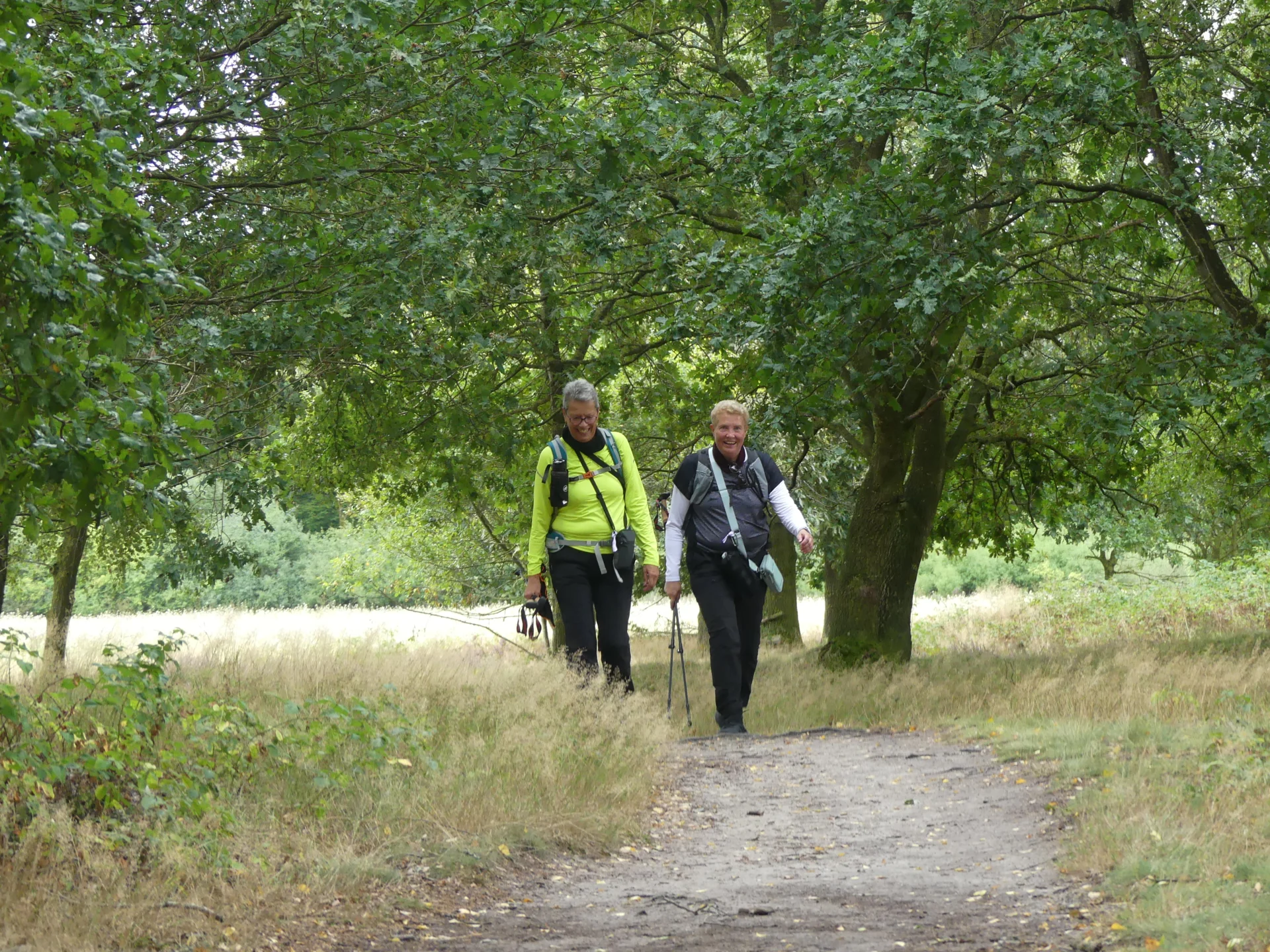 Foto der Galerie: Heide Hunte Walk 2026