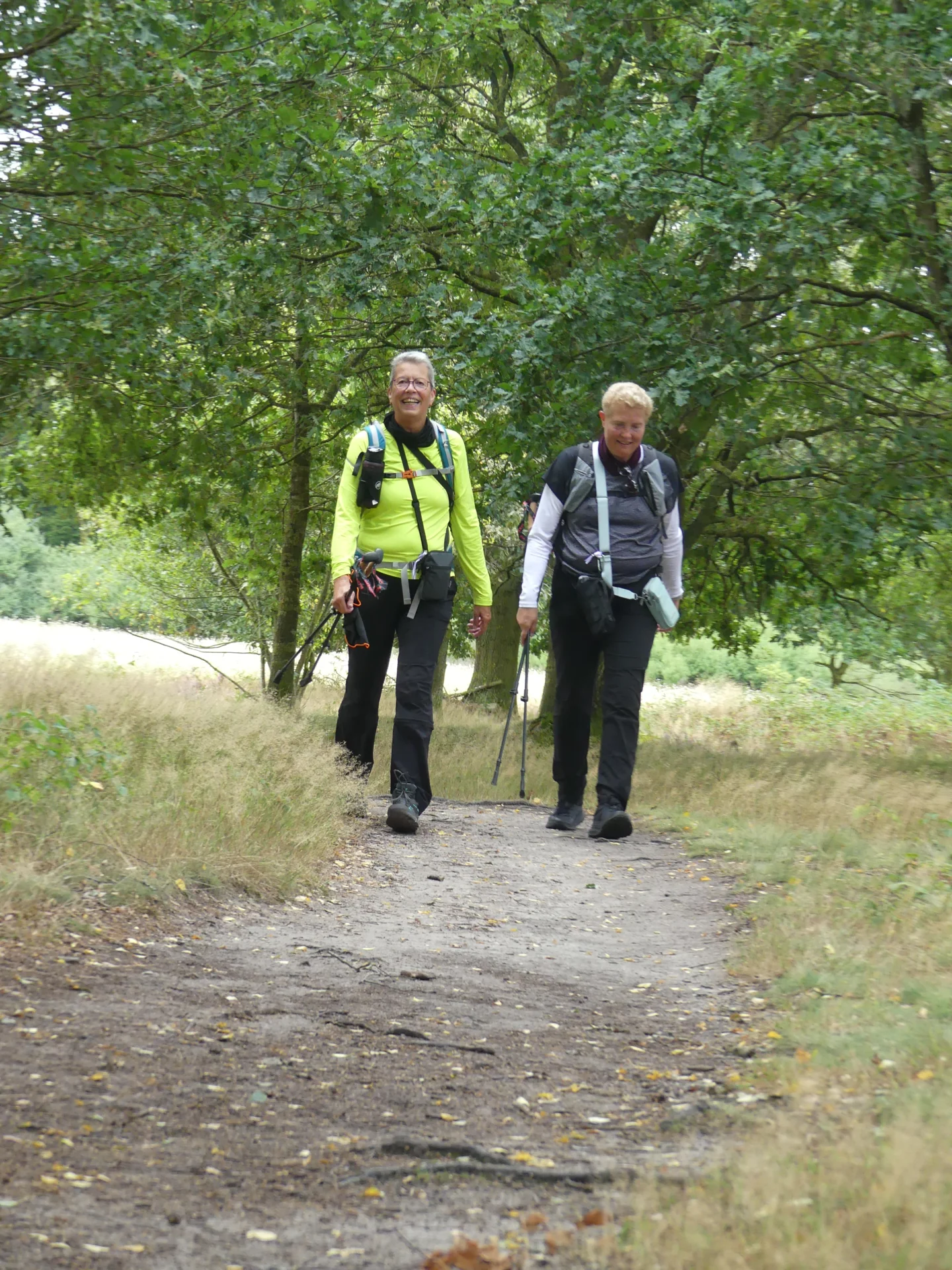 Foto der Galerie: Heide Hunte Walk 2026