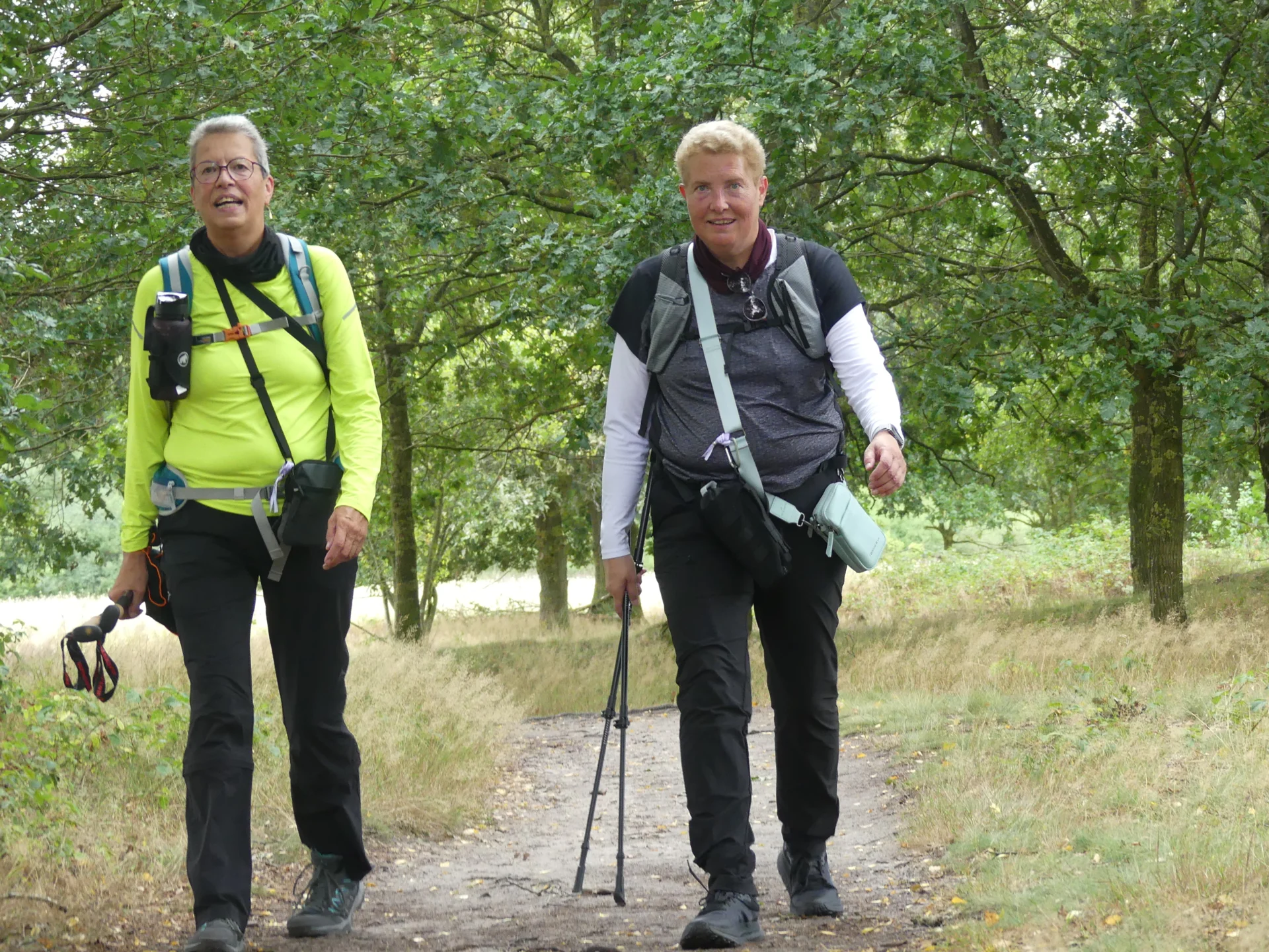 Foto der Galerie: Heide Hunte Walk 2026