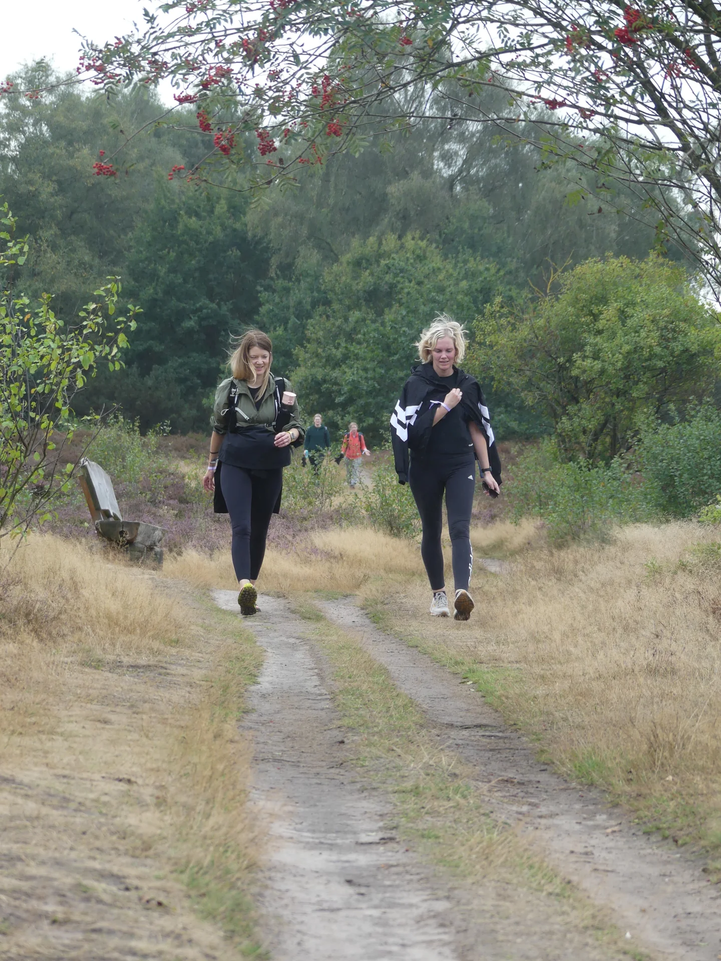 Foto der Galerie: Heide Hunte Walk 2026