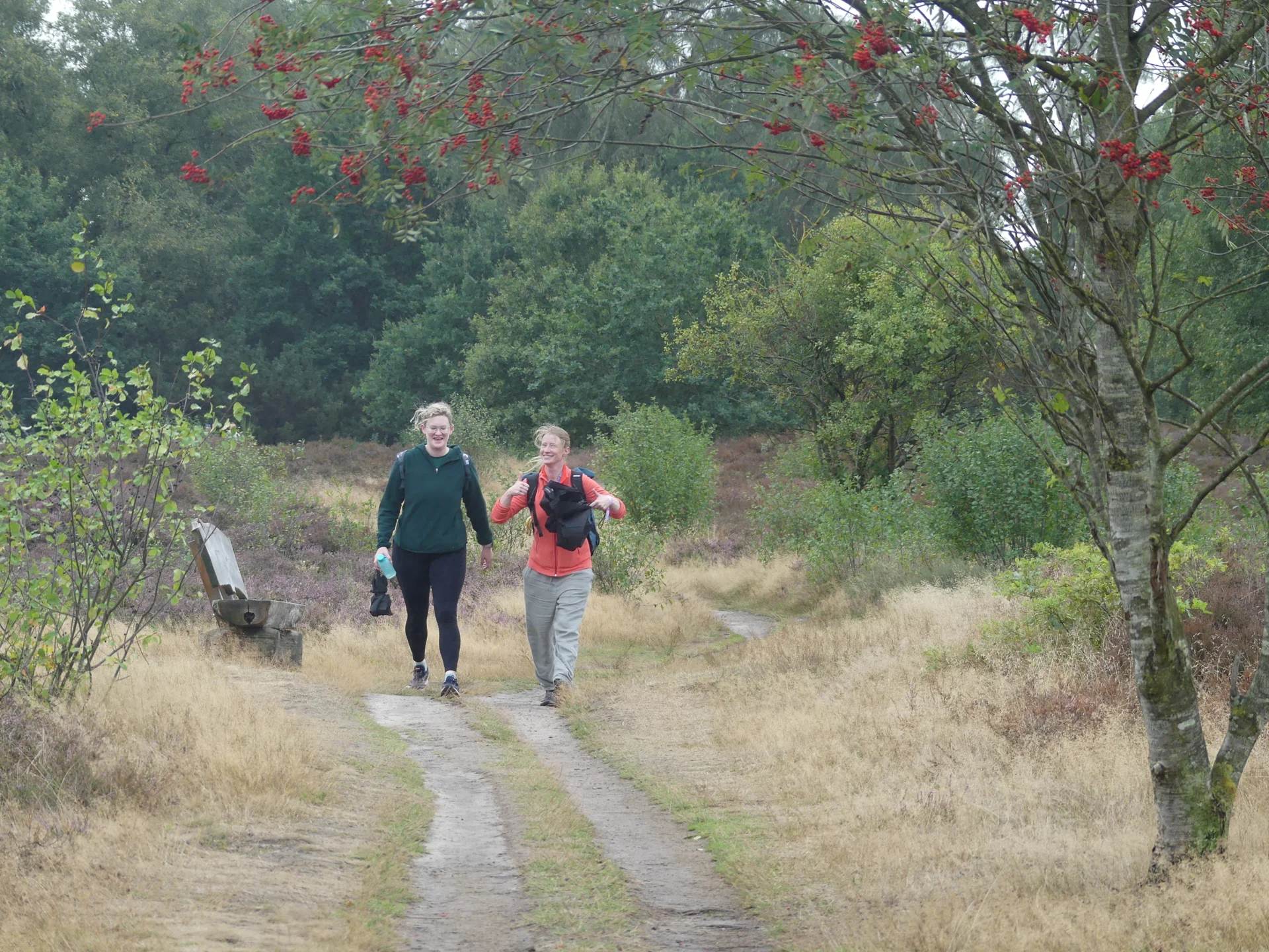 Foto der Galerie: Heide Hunte Walk 2026