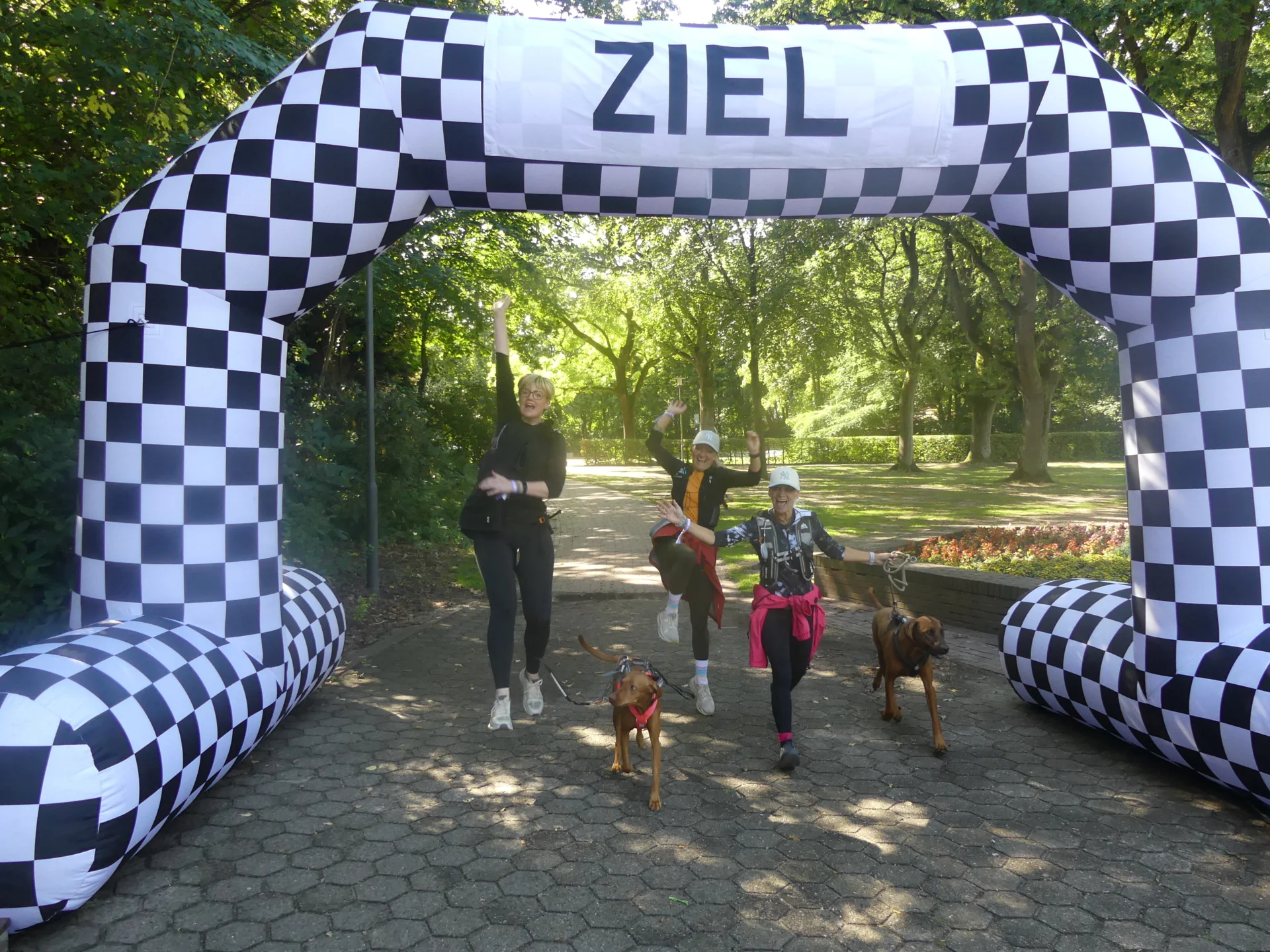 Foto der Galerie: Heide Hunte Walk 2026