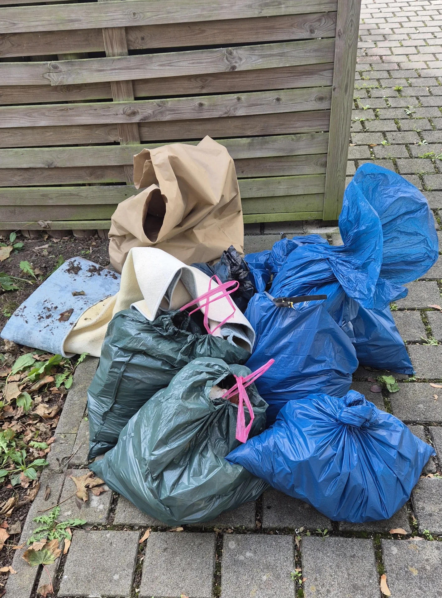Foto der Galerie: World Cleanup Day 2026 in Maintal