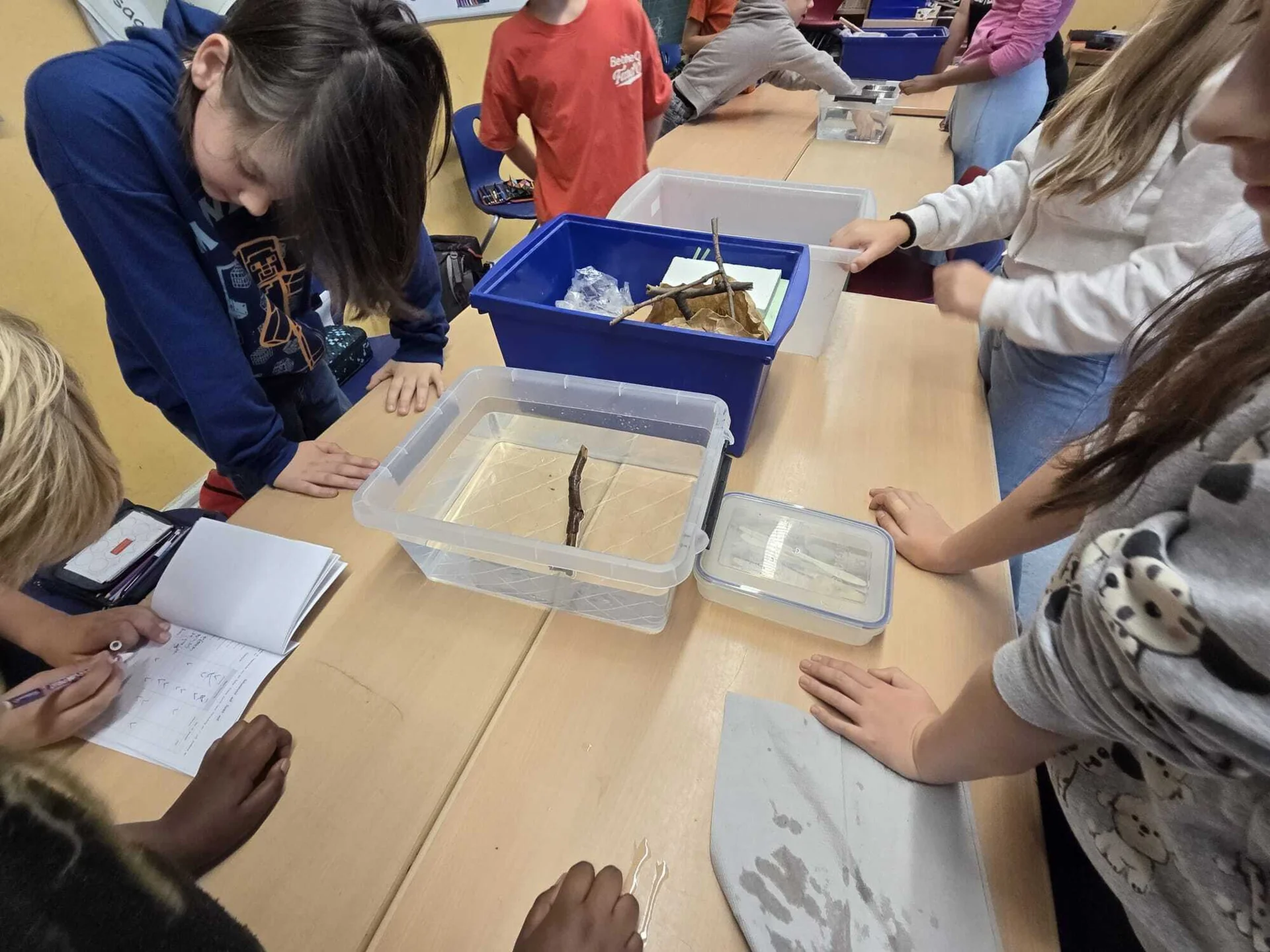 Der Jahrgang 4 machte tolle Experimente zum Thema Wasser:  (Bild vergr&ouml;&szlig;ern)