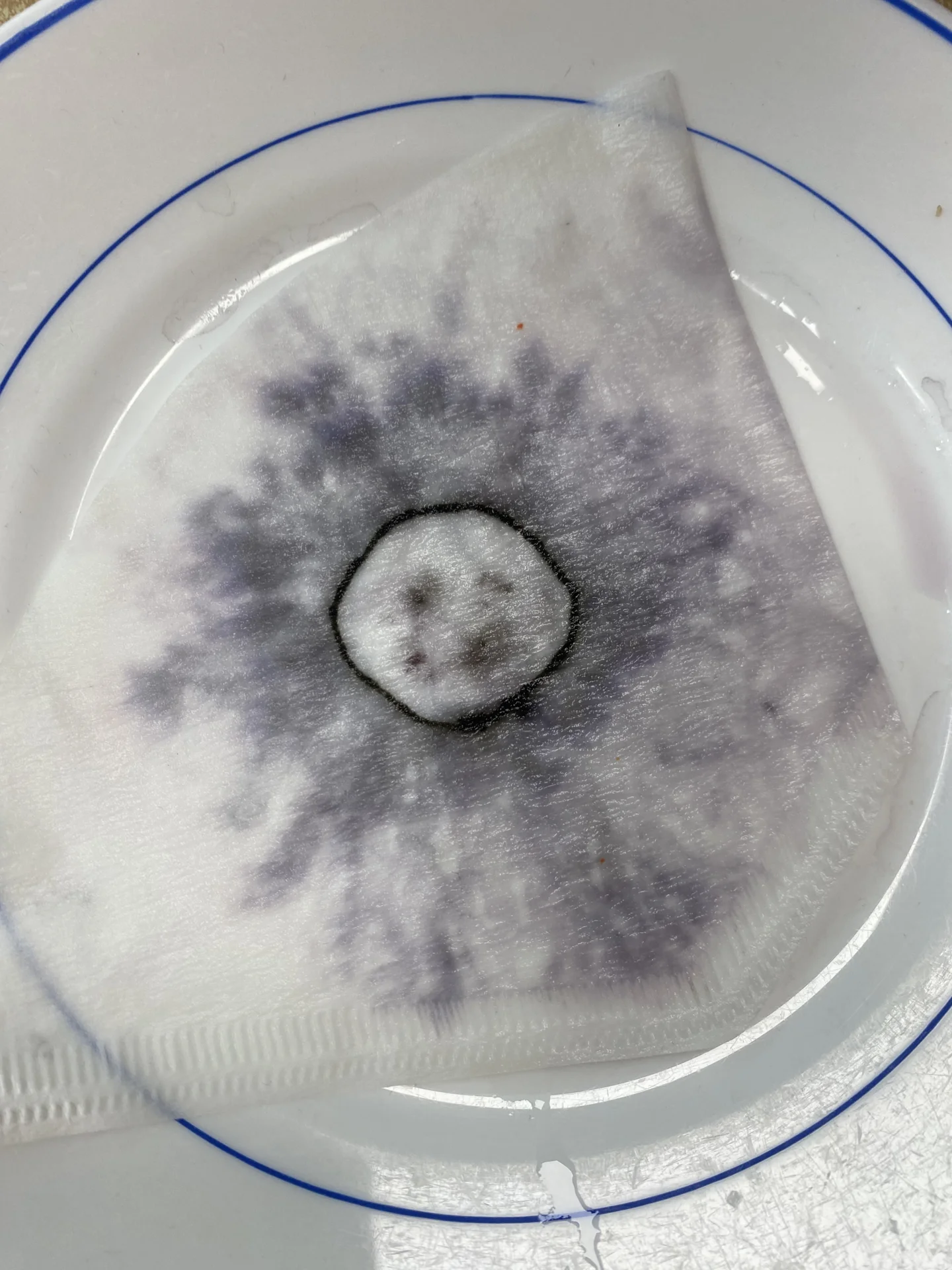 betr&auml;ufeln schwarze Farbe und  (Bild vergr&ouml;&szlig;ern)