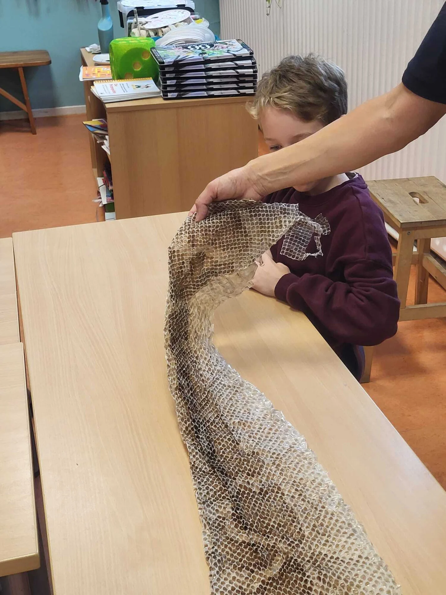 Foto der Galerie: Die Zooschule bei uns 🐍