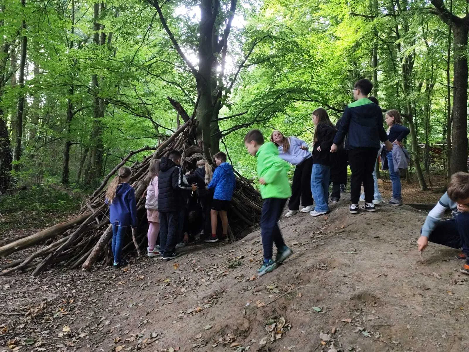Foto der Galerie: Jahrgang 4 im Naturerlebniswald🪵🐜🌳