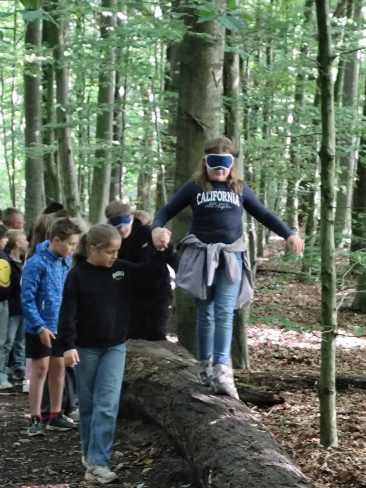 Foto der Galerie: Jahrgang 4 im Naturerlebniswald🪵🐜🌳