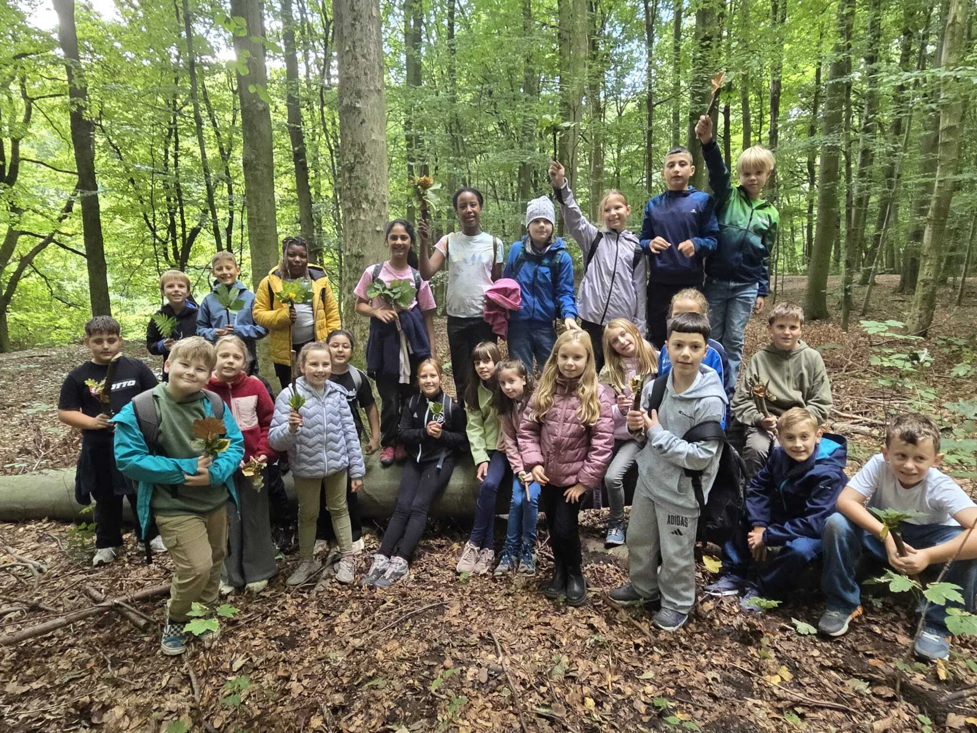 Foto der Galerie: Die 4b im Naturerlebniswald