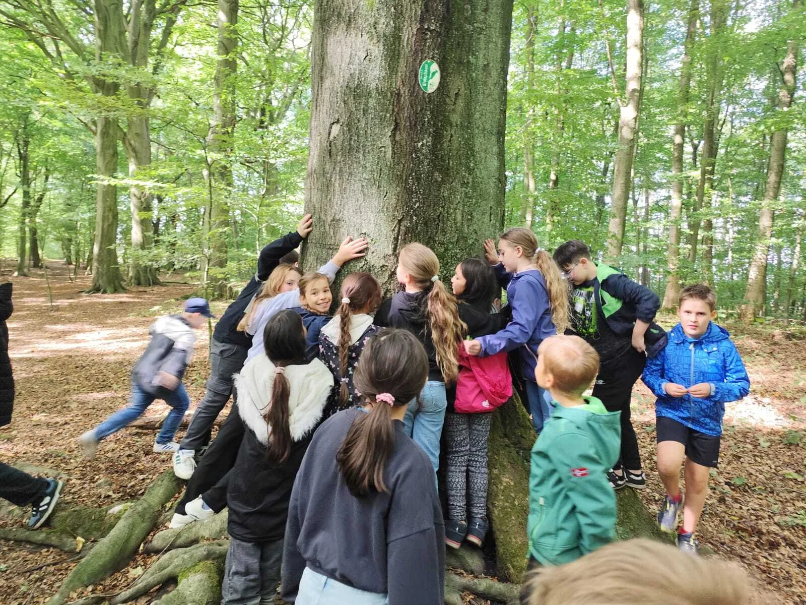 Foto der Galerie: Die 4a im Naturerlebniswald 🌳🪵