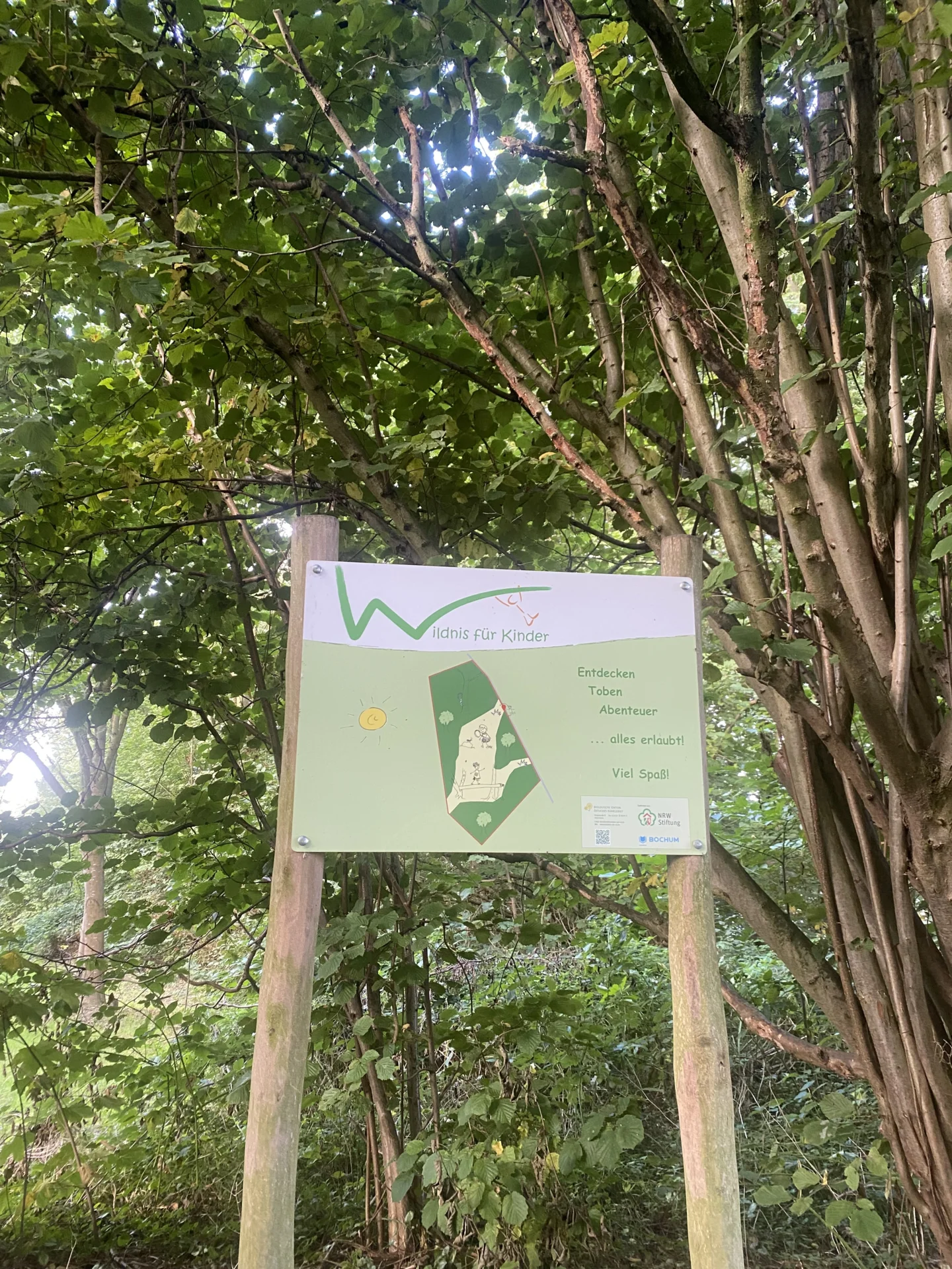 Foto der Galerie: Jahrgang 2 auf der Naturerlebniswiese 🪵🌳🐜