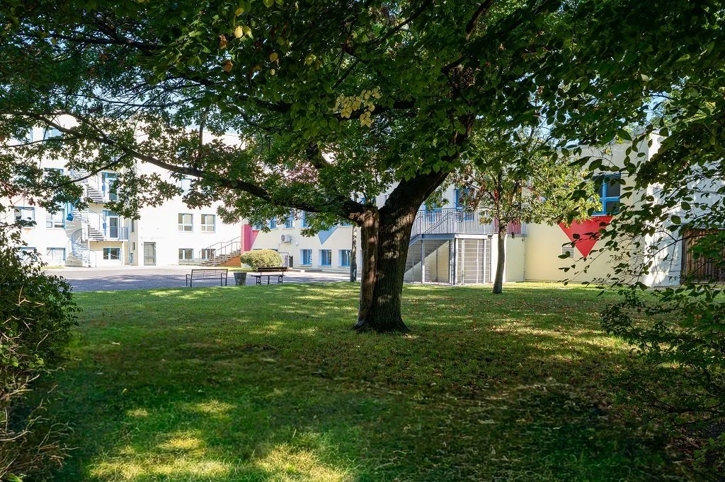 Bild: k-Schulhof mit Baum