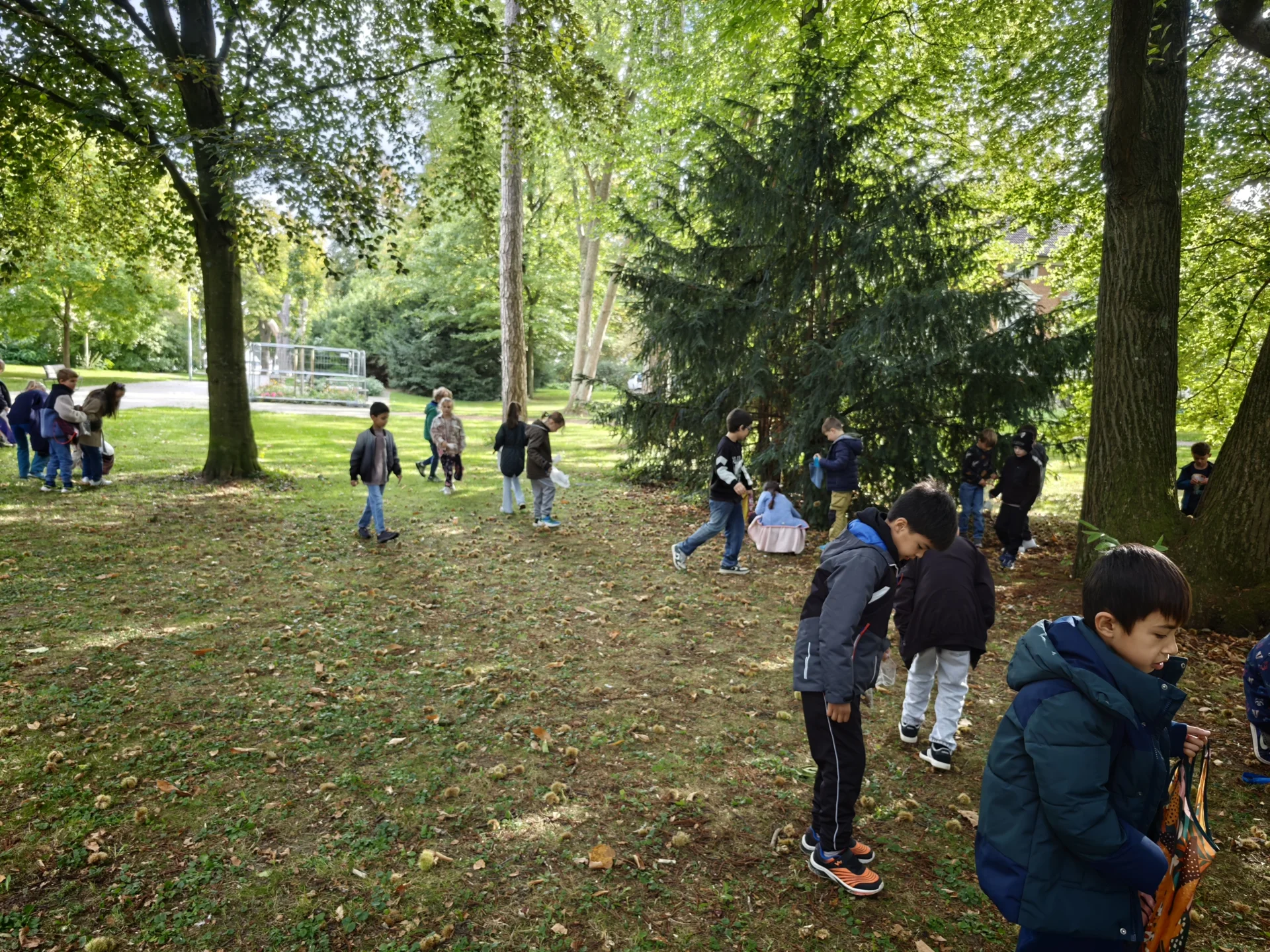 Foto der Galerie: Herbstausflug Klasse 2