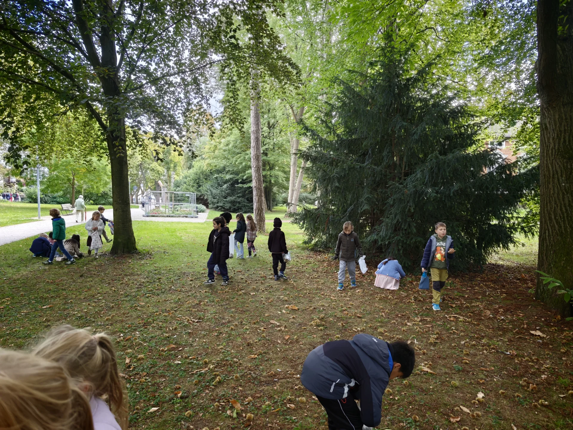Foto der Galerie: Herbstausflug Klasse 2