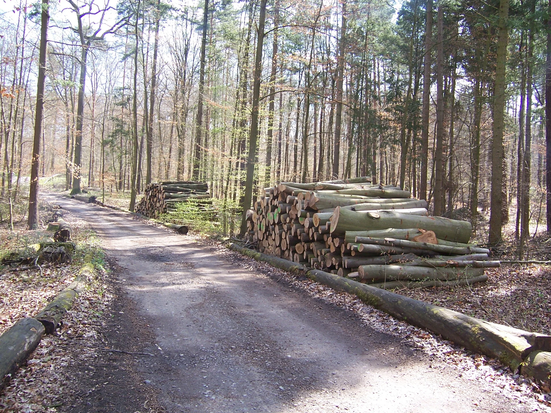 Zur Galerie: 2012_04_14 Frühjahrseinsatz