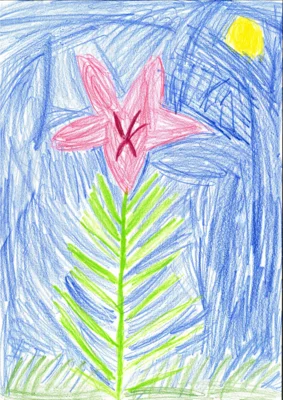 Vorschaubild: Platz 1, Raue Nelke von Veronika Rejmann, 5 Jahre, 