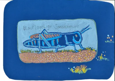 Vorschaubild: Platz 1, Blauflügliche Sandschrecke von Toni Rittmannsperger, 9 Jahre, 