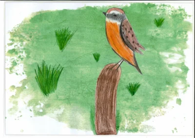 Vorschaubild: Platz 2, Braunkehlchen von Frieda Prauß, Klasse 3, 