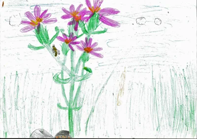 Vorschaubild: Platz 3, Tausendgüldenkraut von Annabell Brüggemann, 8 Jahre, 