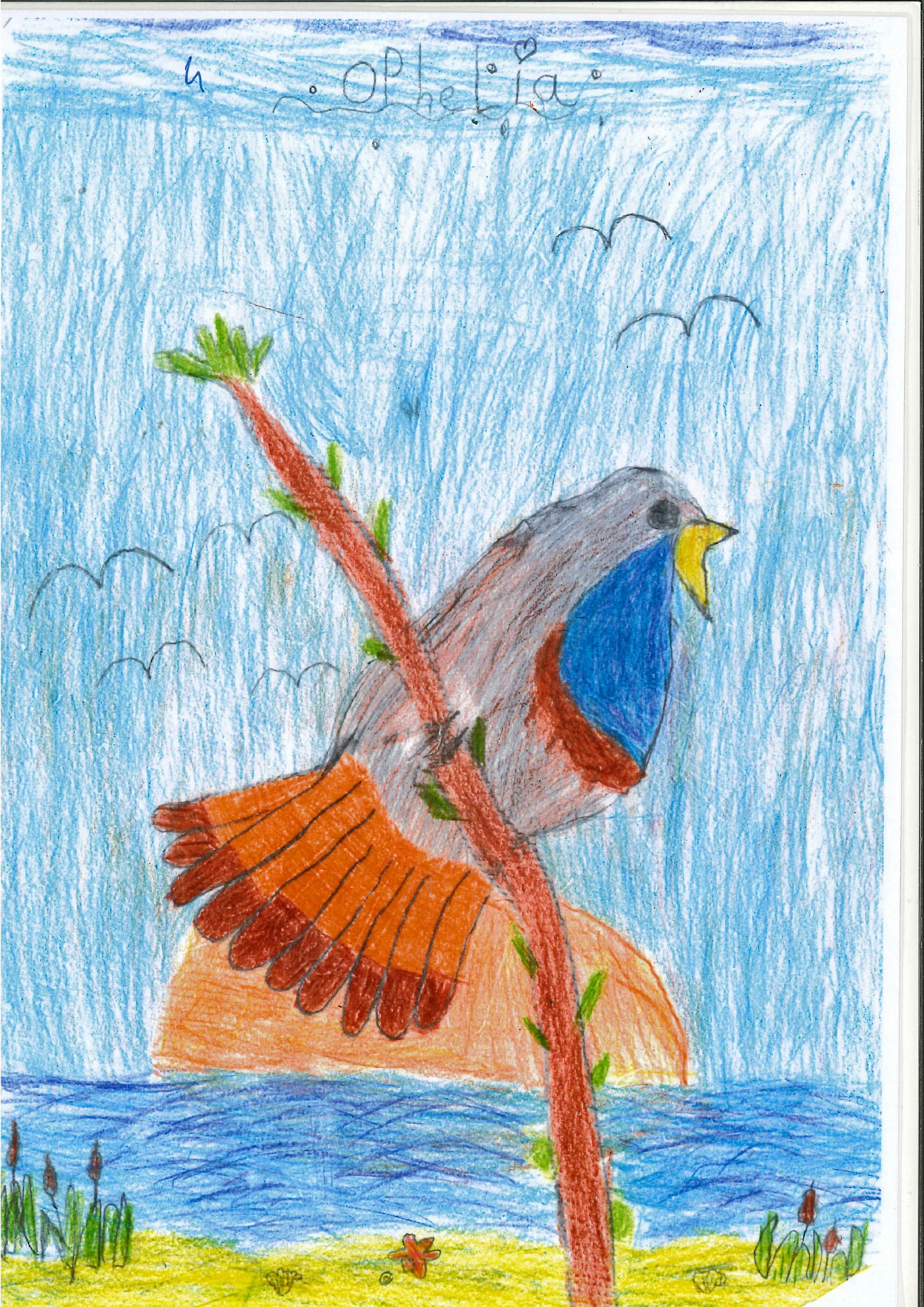 Bild: Platz 1, Blaukehlchen von Ophelia Neu, 7 Jahre, 