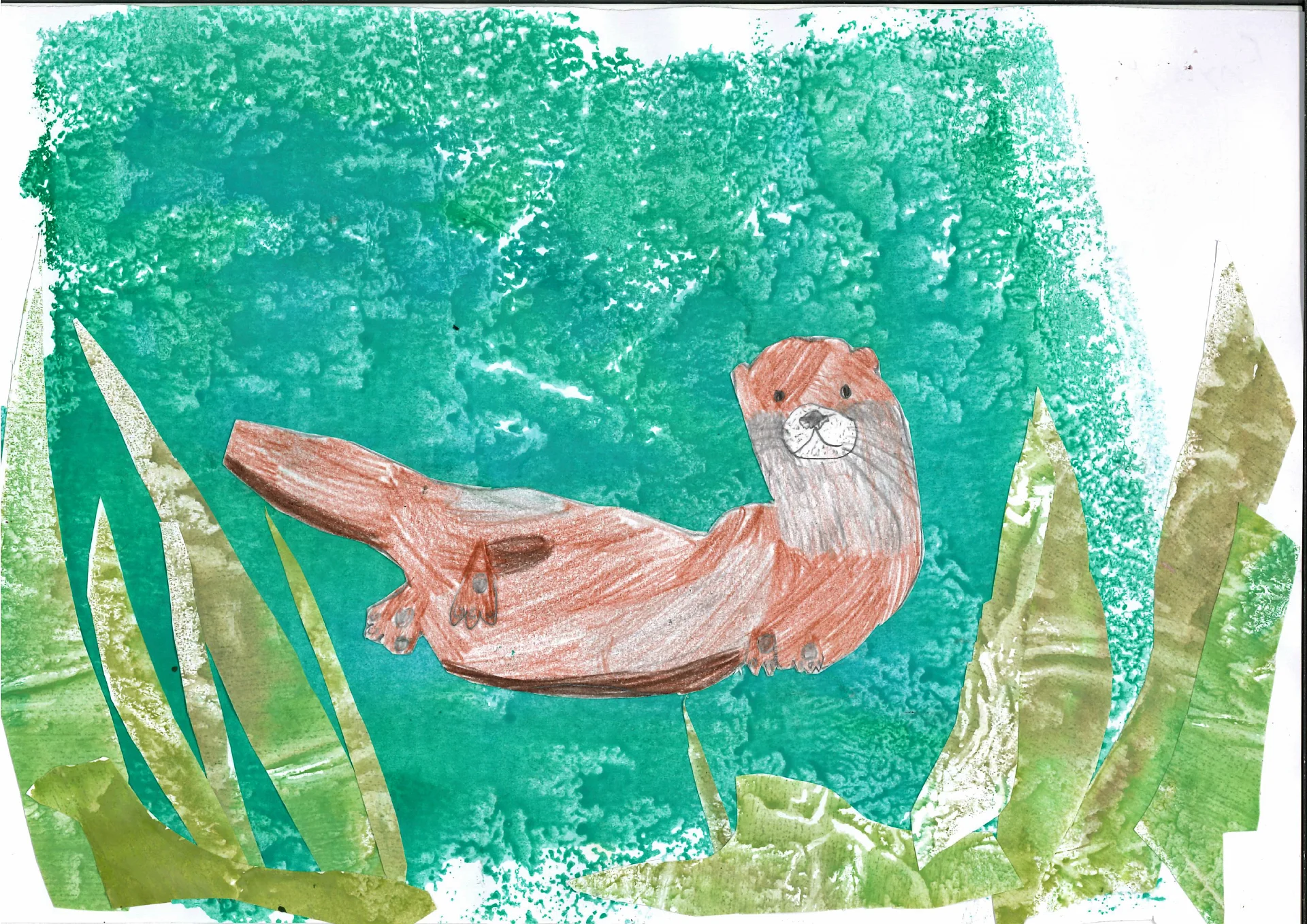 Bild: Platz 2, Fischotter von Enya Keil, Klasse 3,