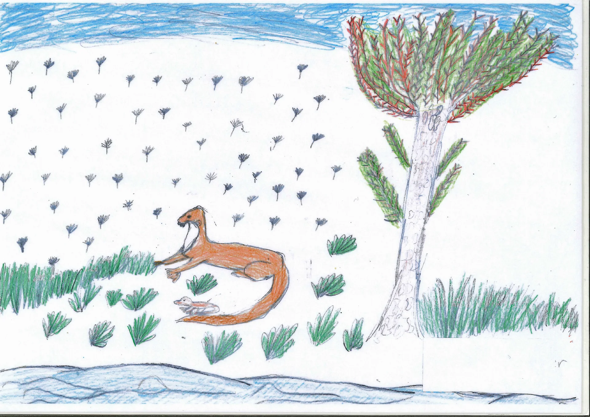 Bild: Platz 2, Fischotter von Lisbeth Huber, 8 Jahre,