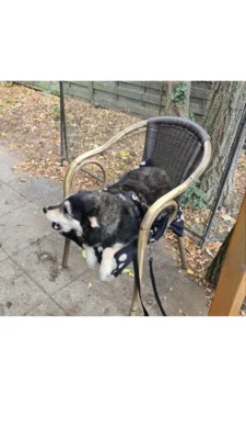 Vorschaubild: 12