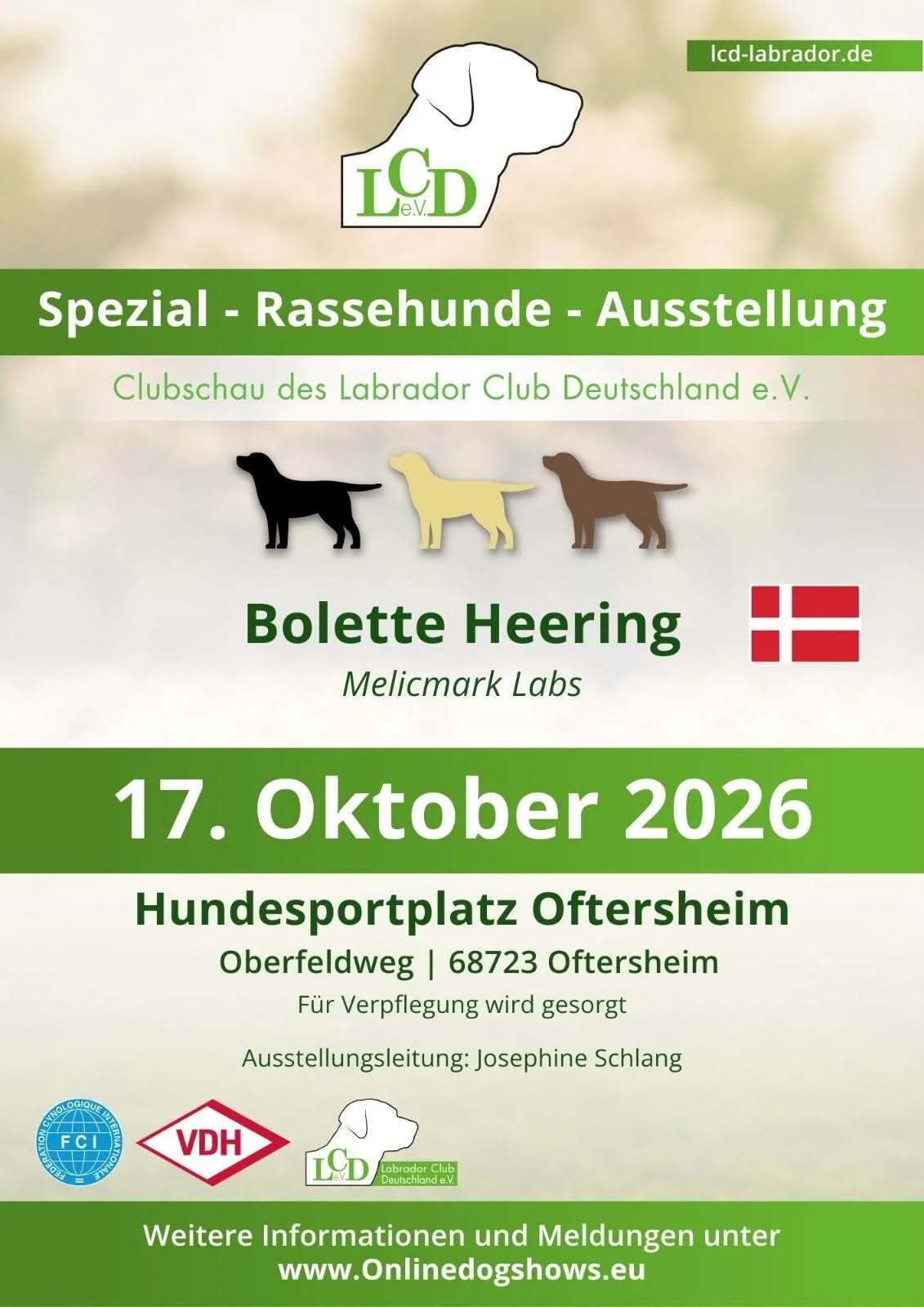 Bild: 854939833 28698980726395095 565406820451422318 n