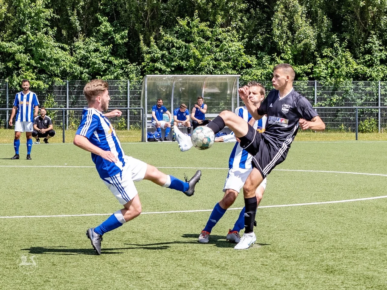 Foto der Galerie: 2022 - Aufstieg Herren 1