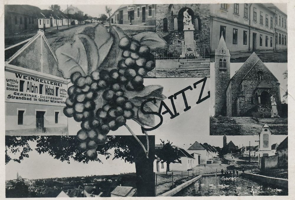 Saitz