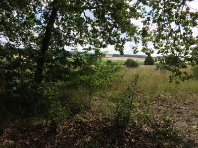 3-Wohngebiet Dolle Siedlung