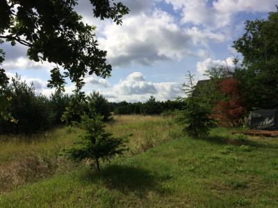 Wohngebiet Dolle Amselweg 2+4