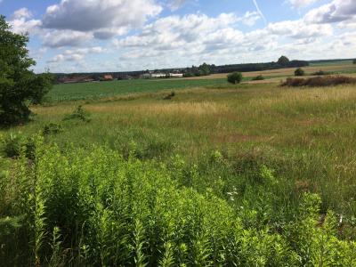 2-Wohngebiet Dolle Siedlung