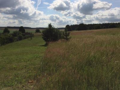 3-Wohngebiet Dolle Siedlung 27-30