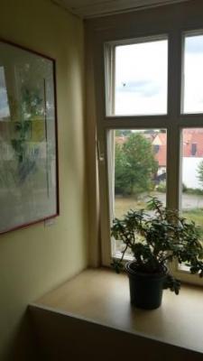 Blick vom Treppenhaus in den Weißen Garten