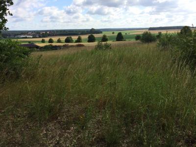 2-Wohngebiet Dolle Siedlung