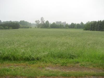 Merzdorf, Mühlenweg