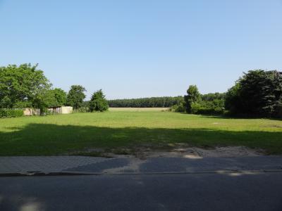 Wittmannstraße