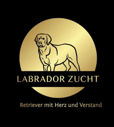 Logo der Labrador Zucht - Sylwia Ziaja (zur Startseite)