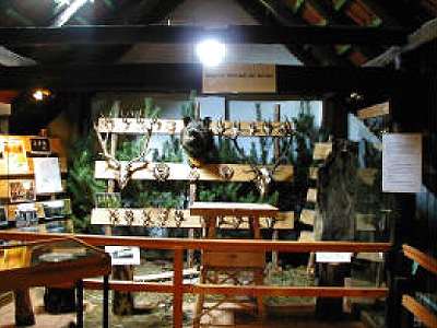 Forstausstellung