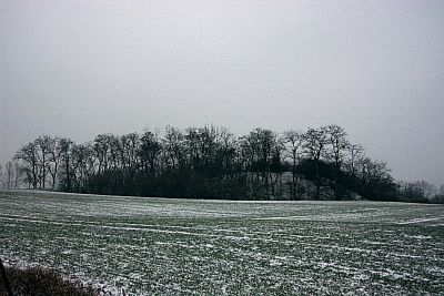 Vorschaubild Grabhügel Latdorf