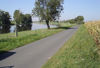 Vorschaubild Elberadweg