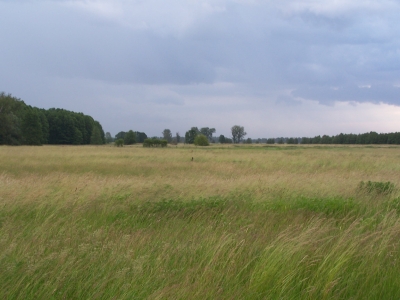Vorschaubild Naturschutzgebiet in Tremsdorf