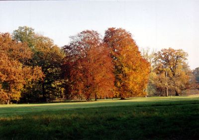 Vorschaubild Schlosspark Neuhardenberg