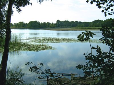 Vorschaubild Naturlehrpfad Bruchsee