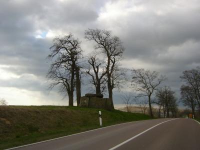 Vorschaubild Hünengrab zwischen Gerbitz und Latdorf