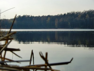 Vorschaubild Steeder See mit Badestelle